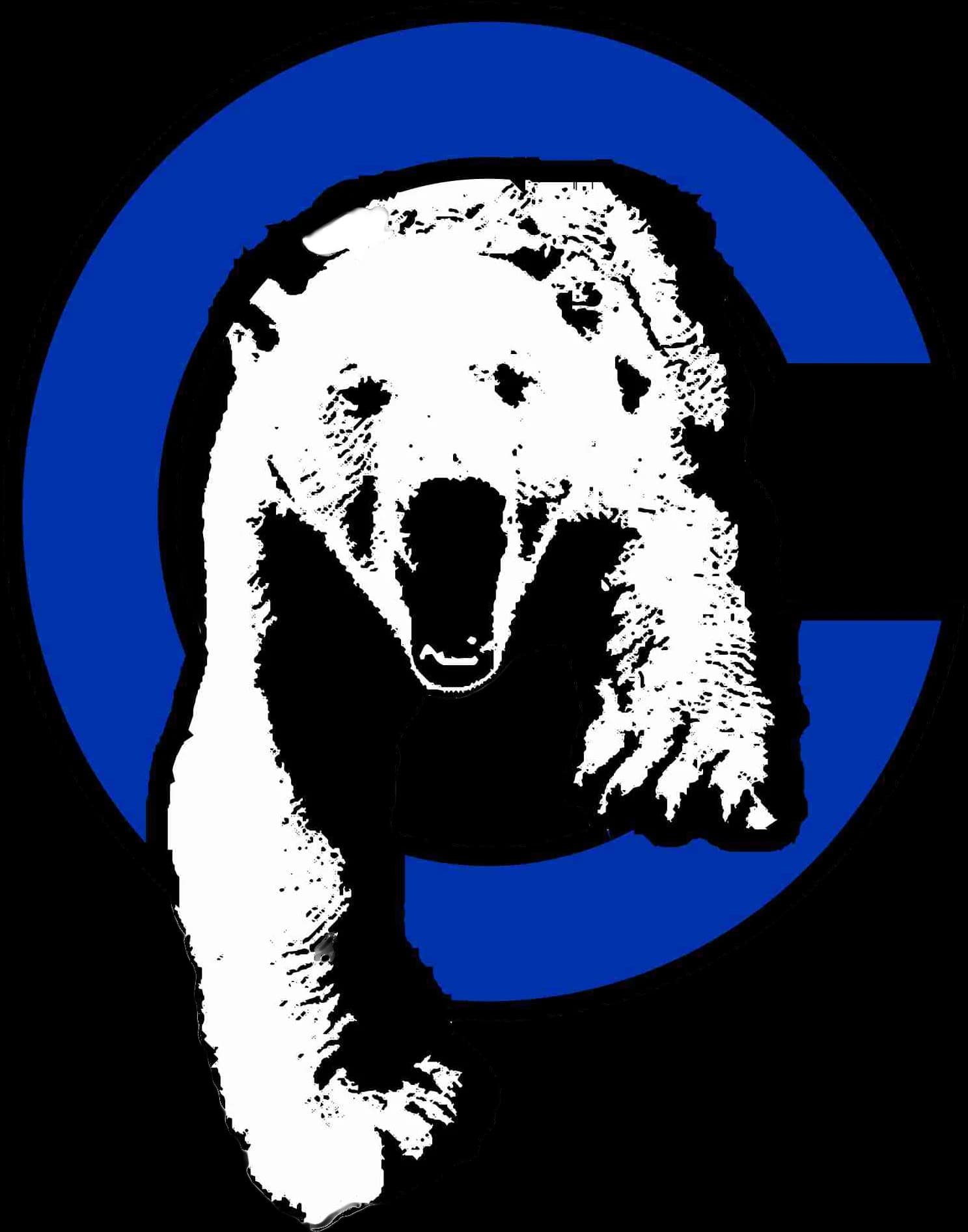 CT Polar Bears